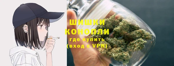 молекула духа Михайловск