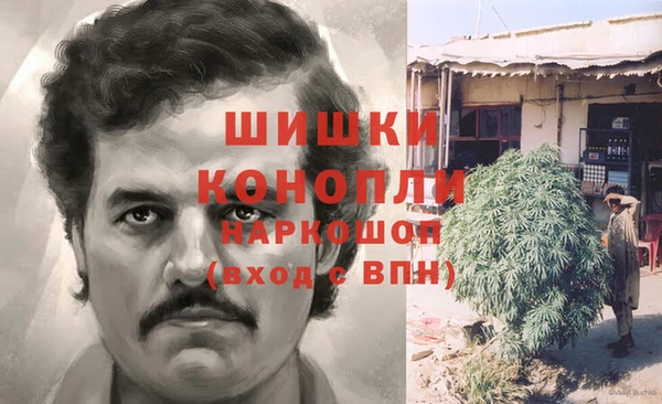 молекула духа Михайловск