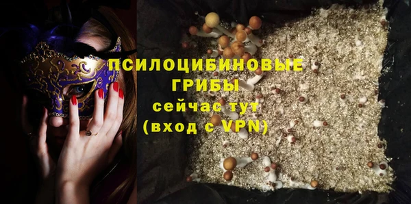 spice Михайлов