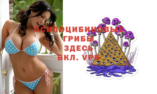 стаф Михайловка