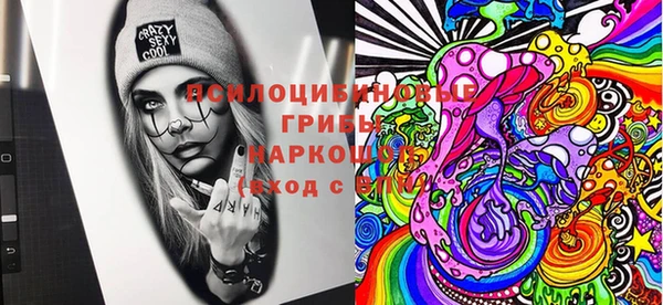 spice Михайлов