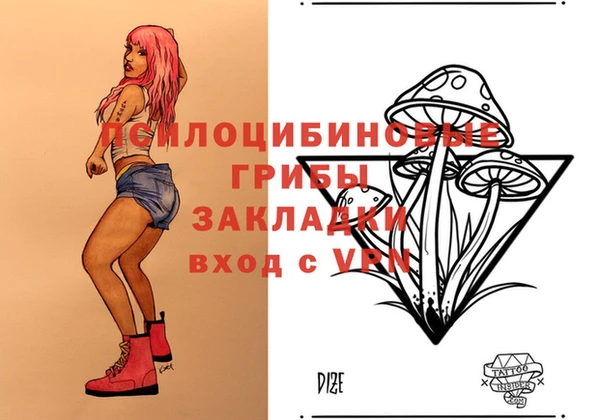 spice Михайлов