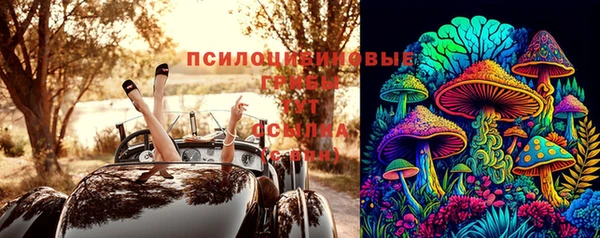 молекула духа Михайловск