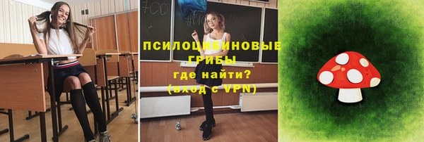 молекула духа Михайловск