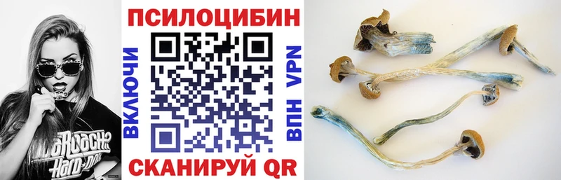 Галлюциногенные грибы GOLDEN TEACHER  Купить закладки  Егорьевск 