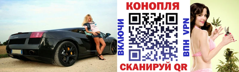 Купить где  Егорьевск  Марихуана гибрид 